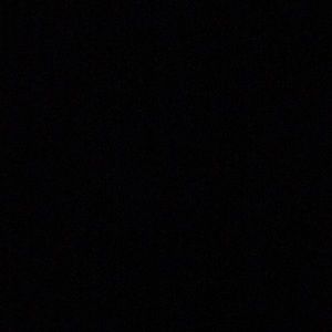 Meet your Posher, Orlando